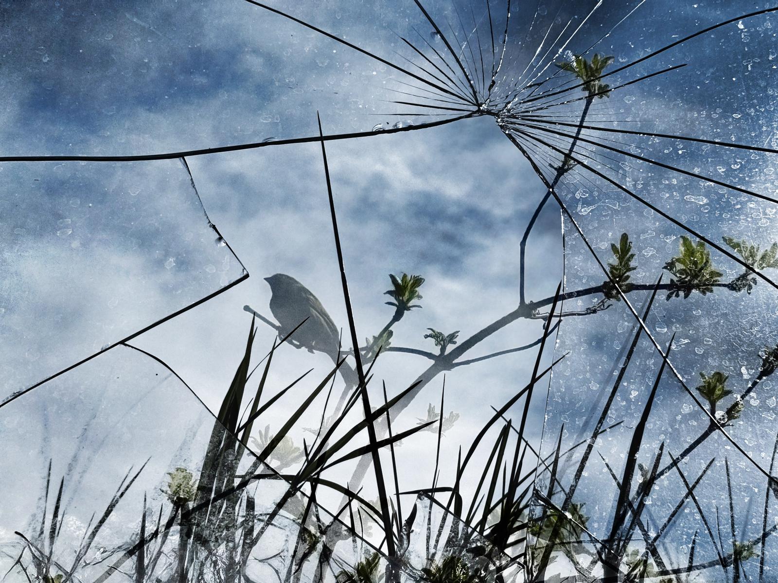 Kendime Yolculuk (1) / Hande Önen