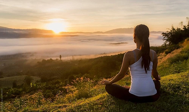 TESLİM OL/Elif Leyla Cilasun