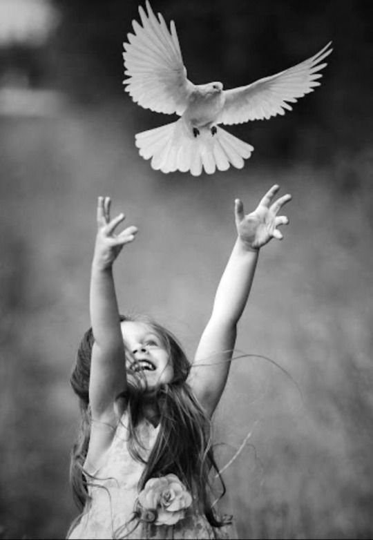 Bir Ayağı Bağlı Kuş